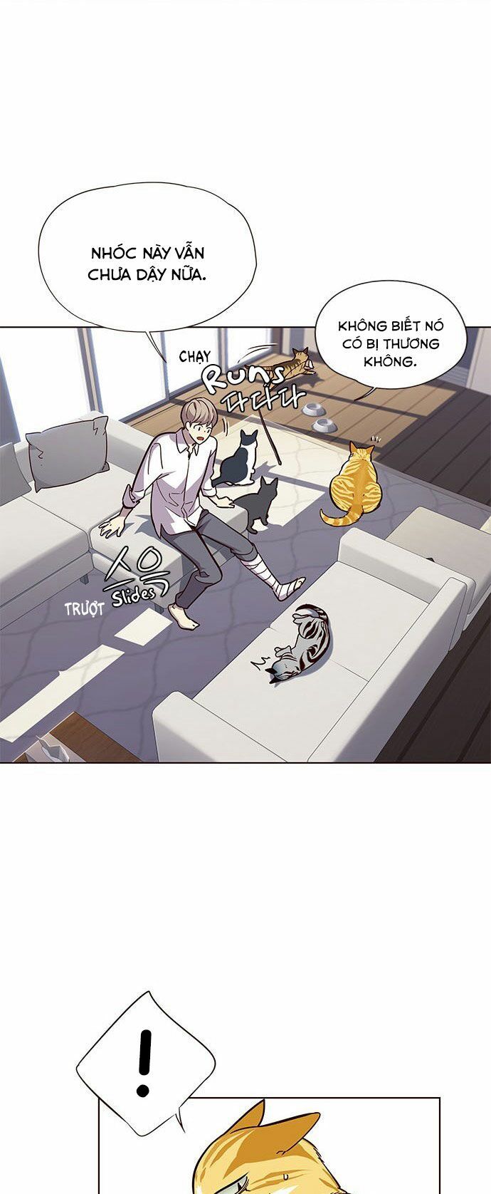 Hoá Thân Thành Mèo - Chapter 16 - Page 24
