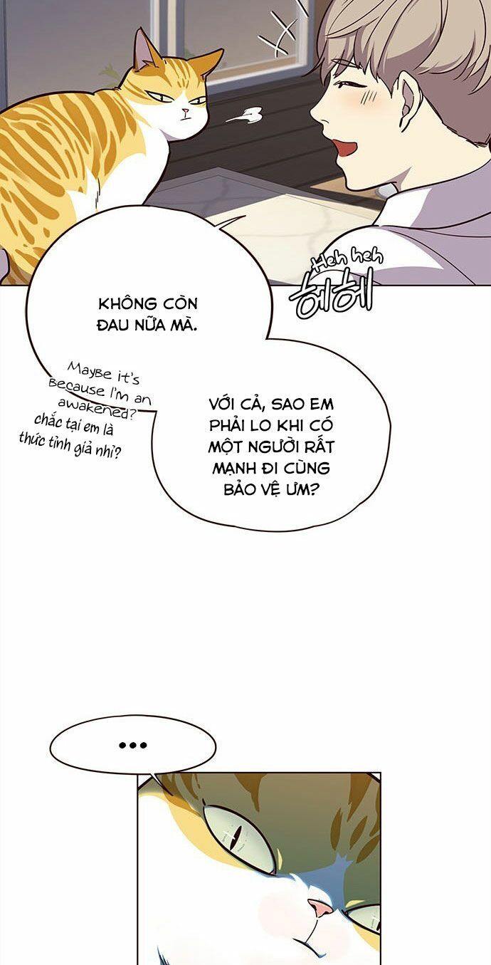 Hoá Thân Thành Mèo - Chapter 16 - Page 29