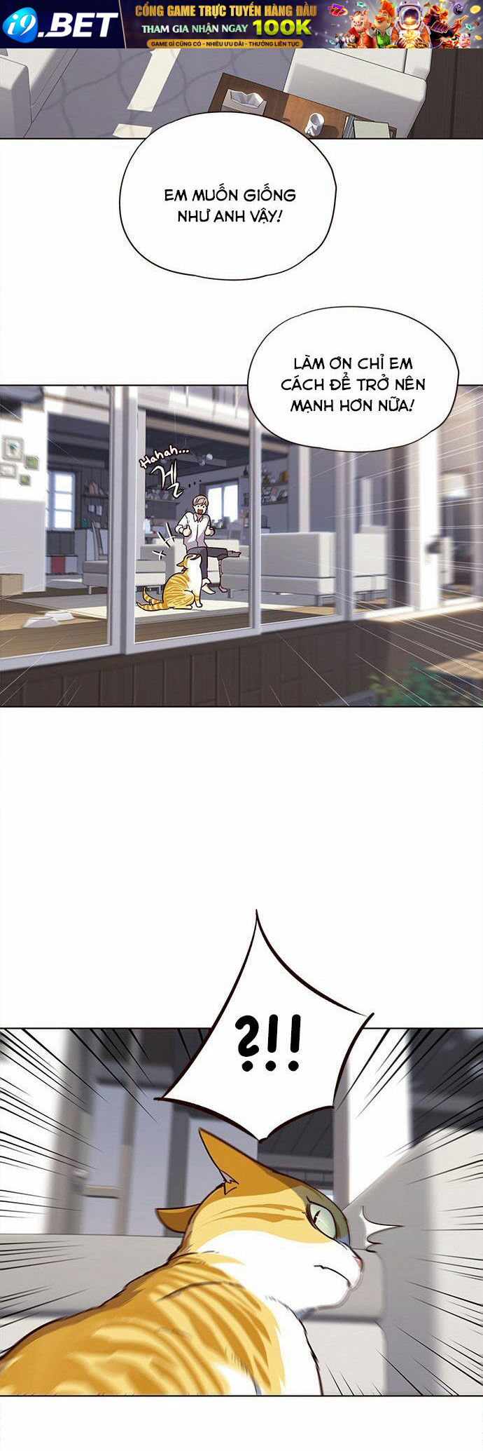 Hoá Thân Thành Mèo - Chapter 16 - Page 32