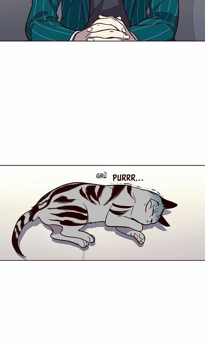 Hoá Thân Thành Mèo - Chapter 16 - Page 42