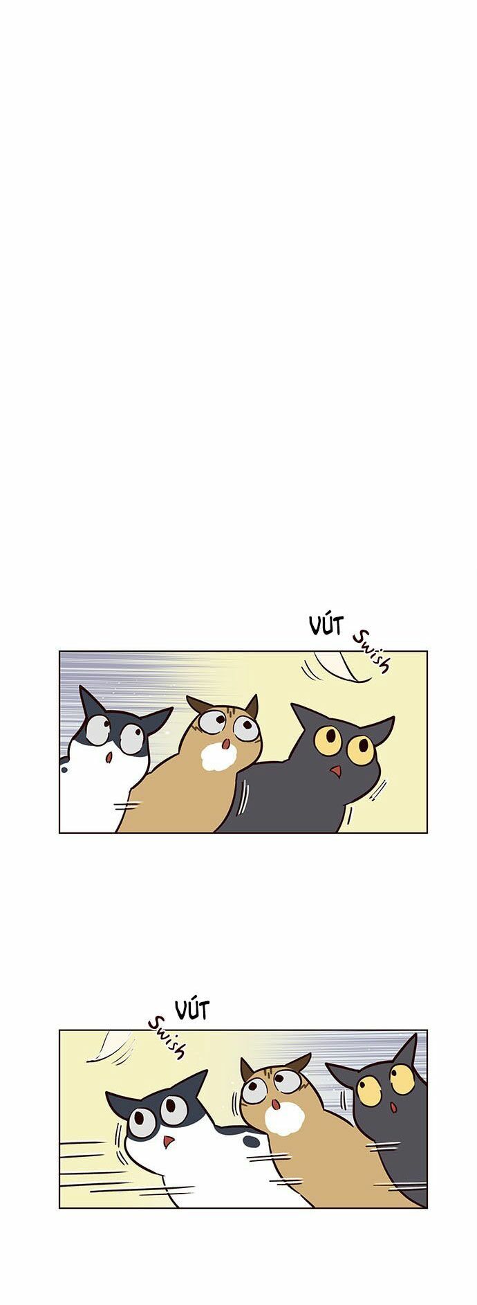 Hoá Thân Thành Mèo - Chapter 16 - Page 7