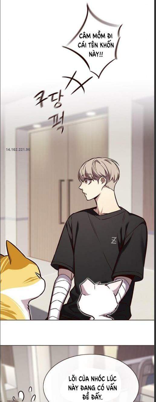 Hoá Thân Thành Mèo - Chapter 160 - Page 13