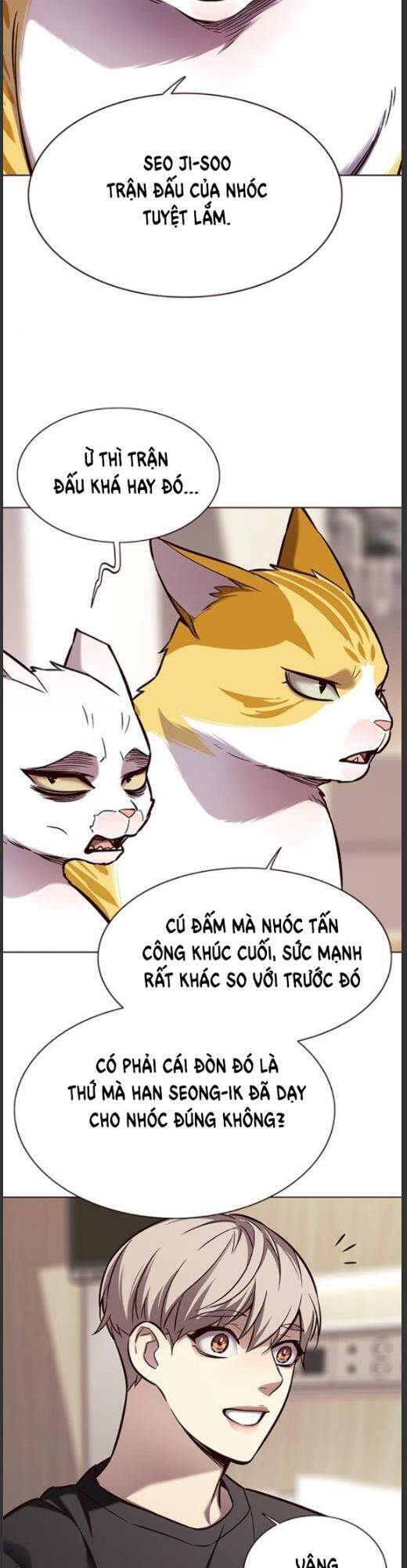 Hoá Thân Thành Mèo - Chapter 160 - Page 15