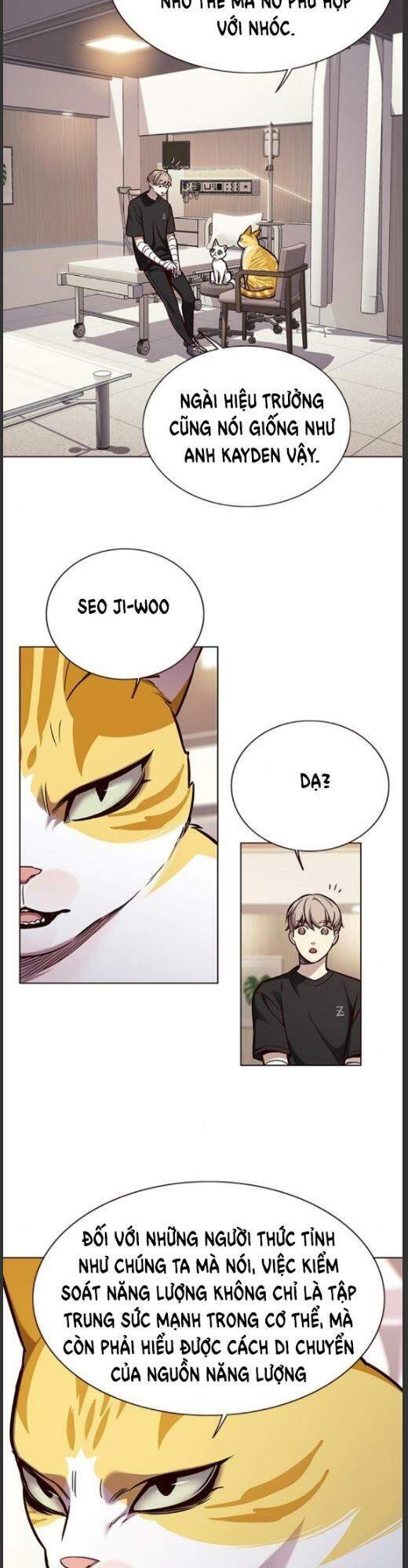 Hoá Thân Thành Mèo - Chapter 160 - Page 17