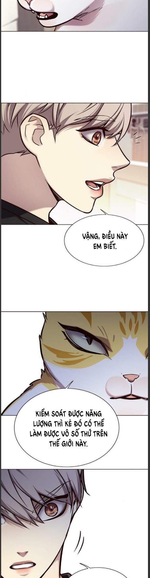 Hoá Thân Thành Mèo - Chapter 160 - Page 18