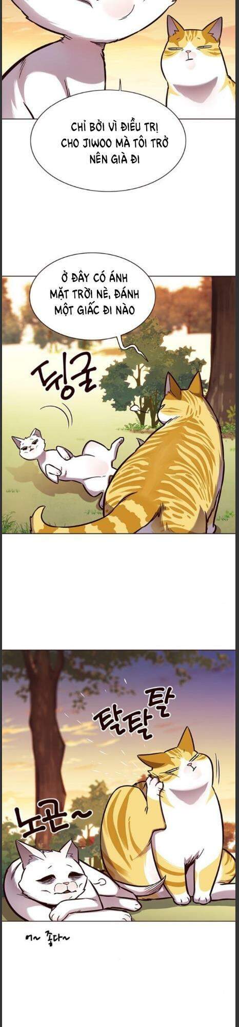 Hoá Thân Thành Mèo - Chapter 161 - Page 18