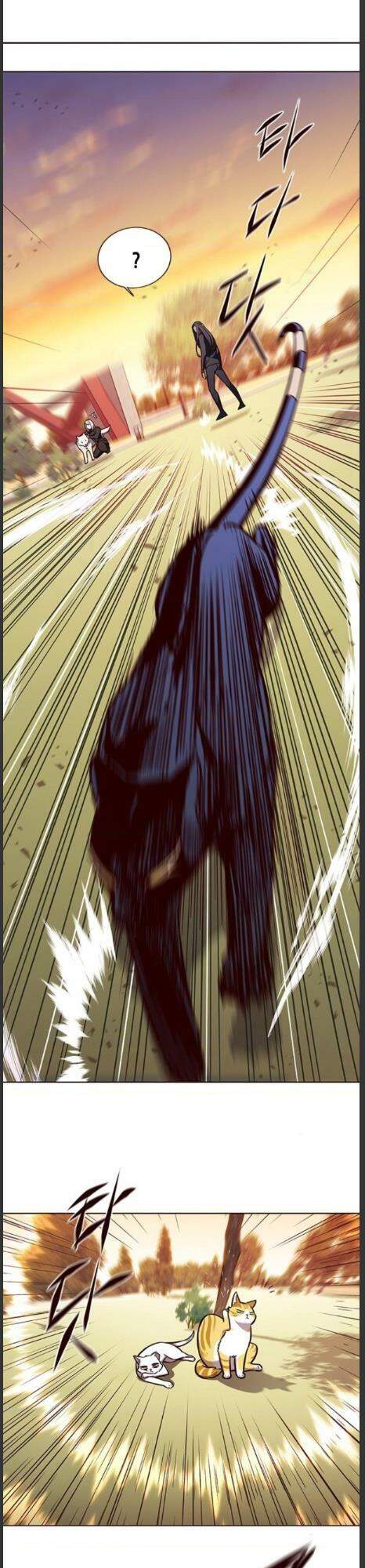 Hoá Thân Thành Mèo - Chapter 161 - Page 19