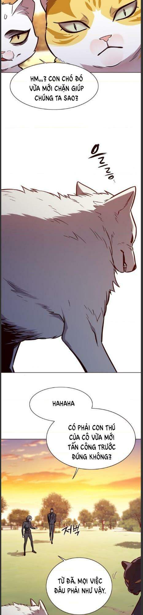 Hoá Thân Thành Mèo - Chapter 161 - Page 23