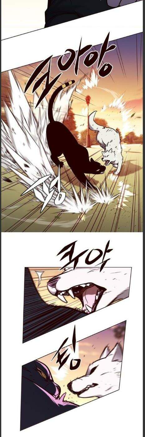 Hoá Thân Thành Mèo - Chapter 161 - Page 29