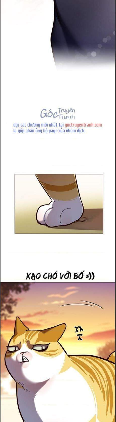 Hoá Thân Thành Mèo - Chapter 161 - Page 41