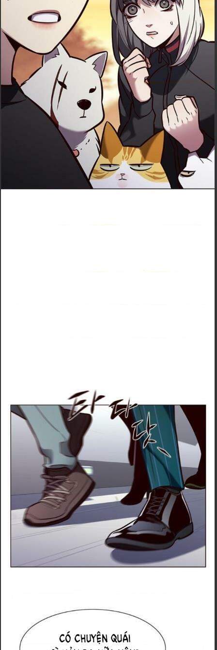 Hoá Thân Thành Mèo - Chapter 162 - Page 13