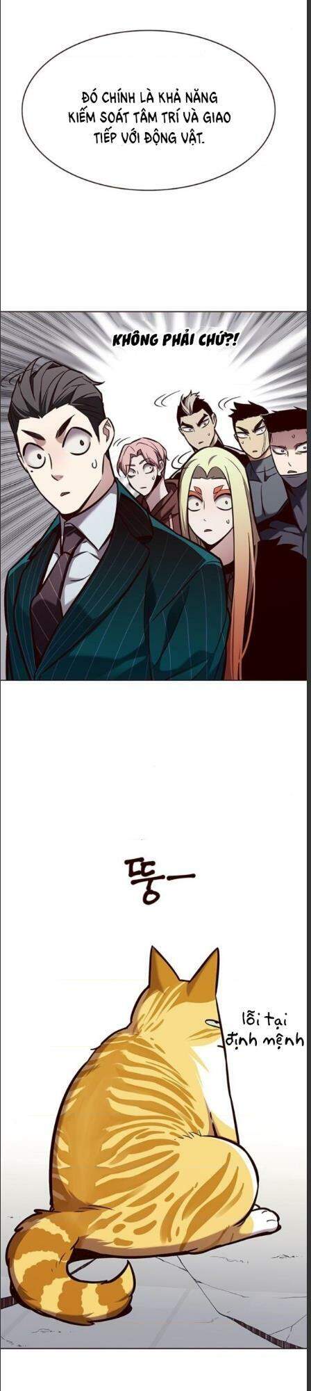 Hoá Thân Thành Mèo - Chapter 162 - Page 19