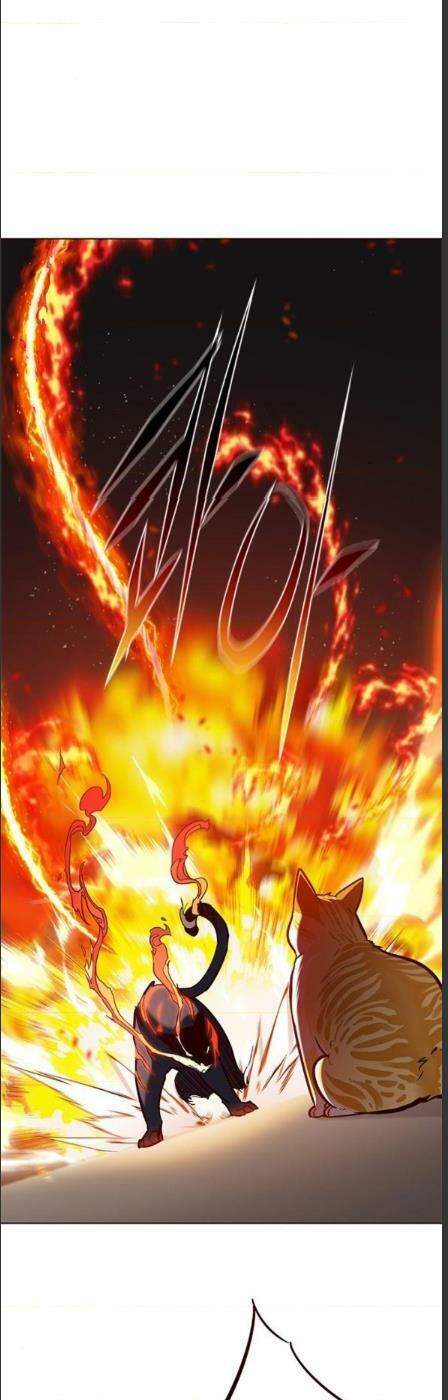 Hoá Thân Thành Mèo - Chapter 162 - Page 28