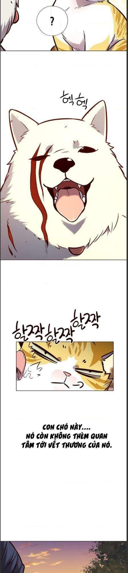 Hoá Thân Thành Mèo - Chapter 162 - Page 3