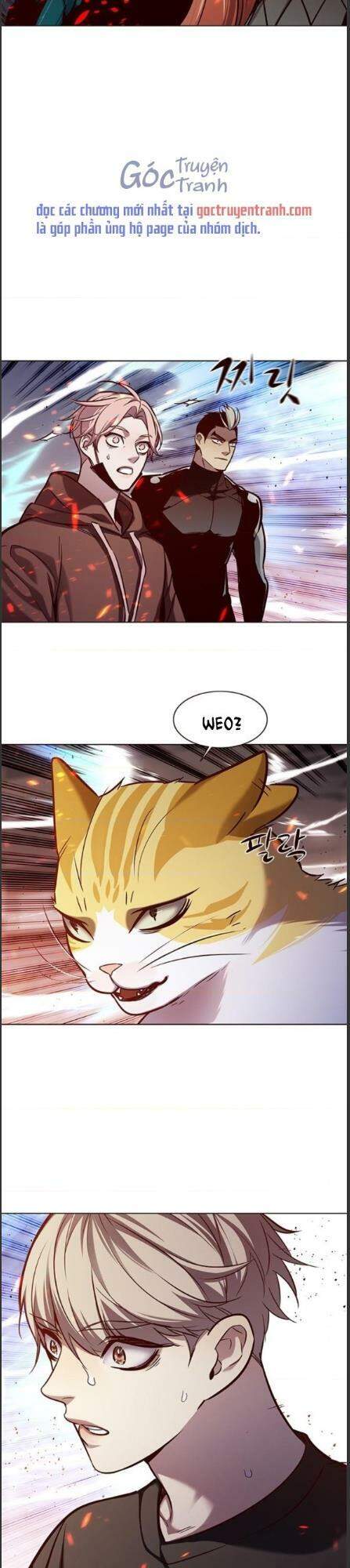 Hoá Thân Thành Mèo - Chapter 162 - Page 32