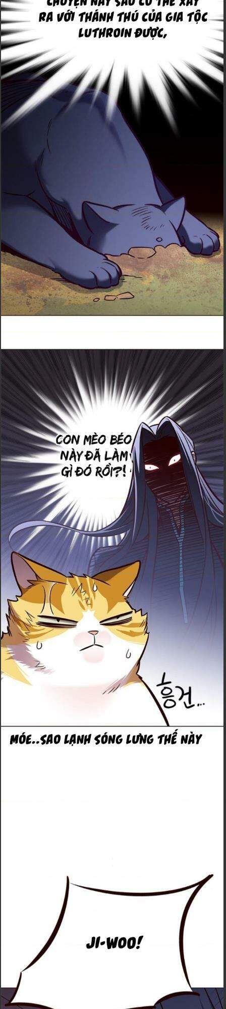 Hoá Thân Thành Mèo - Chapter 162 - Page 5