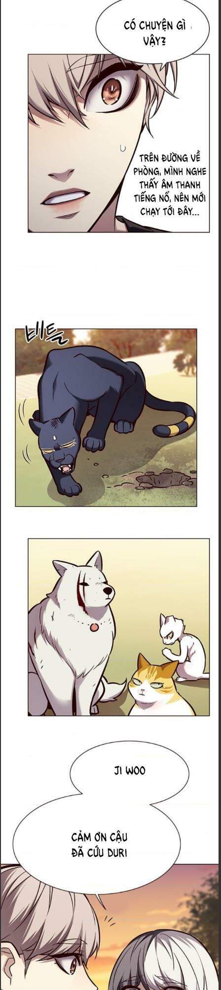 Hoá Thân Thành Mèo - Chapter 162 - Page 8