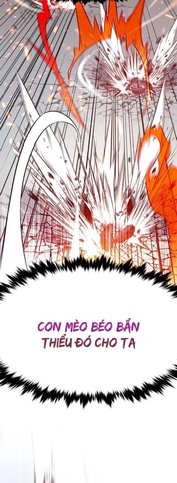 Hoá Thân Thành Mèo - Chapter 163 - Page 13