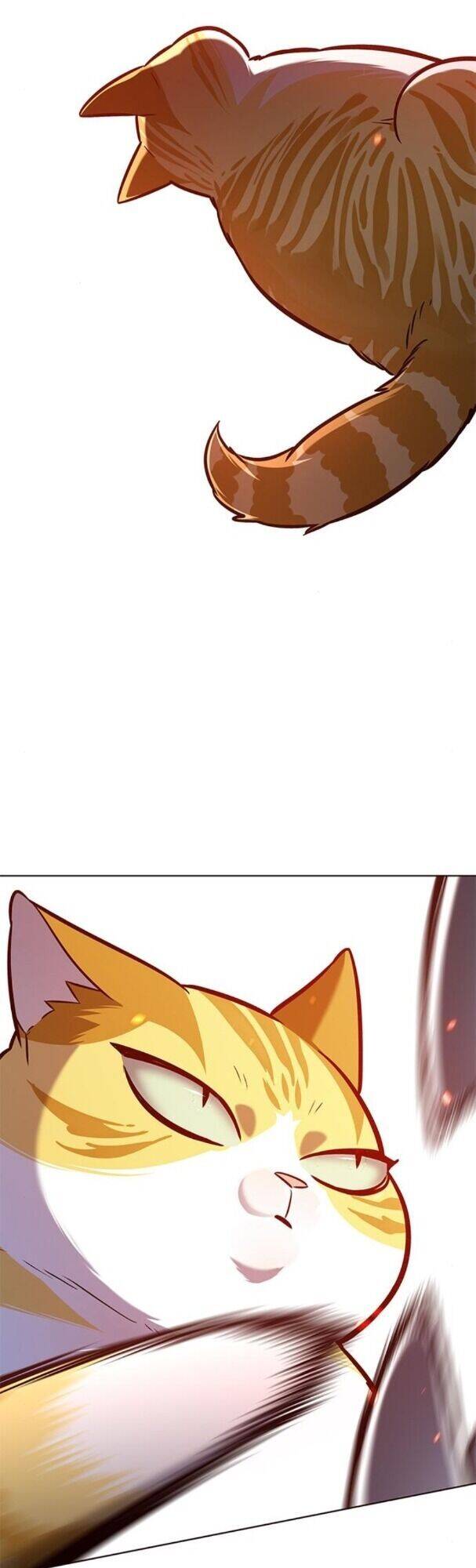 Hoá Thân Thành Mèo - Chapter 163 - Page 15