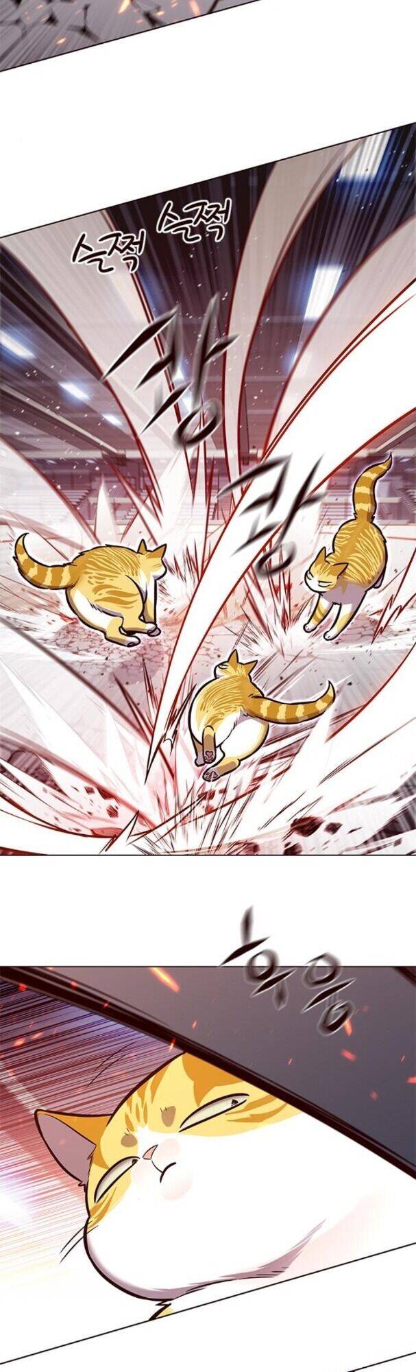Hoá Thân Thành Mèo - Chapter 163 - Page 23