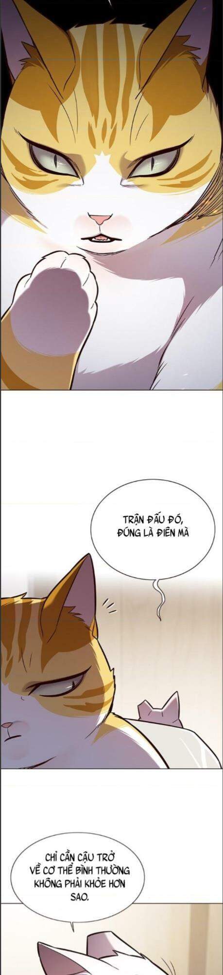 Hoá Thân Thành Mèo - Chapter 164 - Page 11