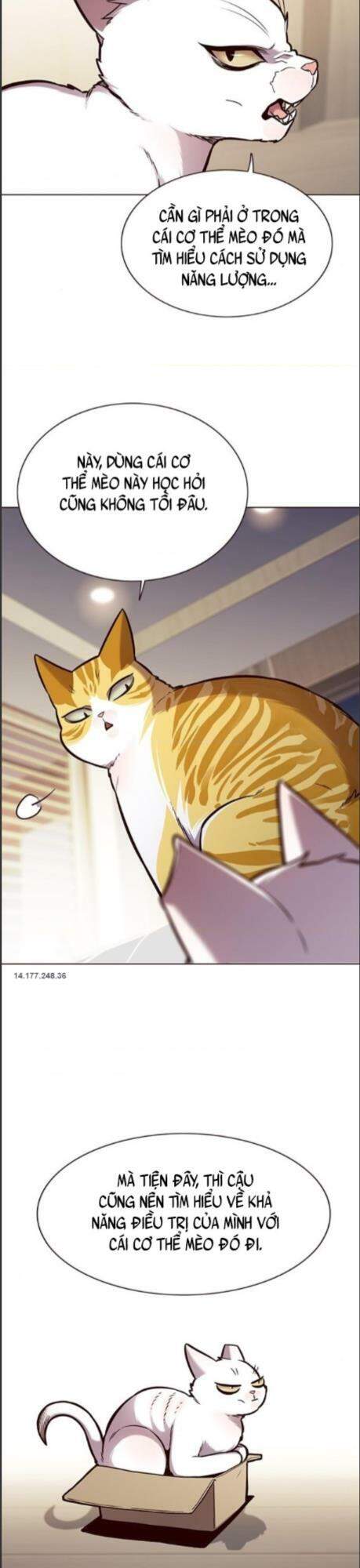 Hoá Thân Thành Mèo - Chapter 164 - Page 12