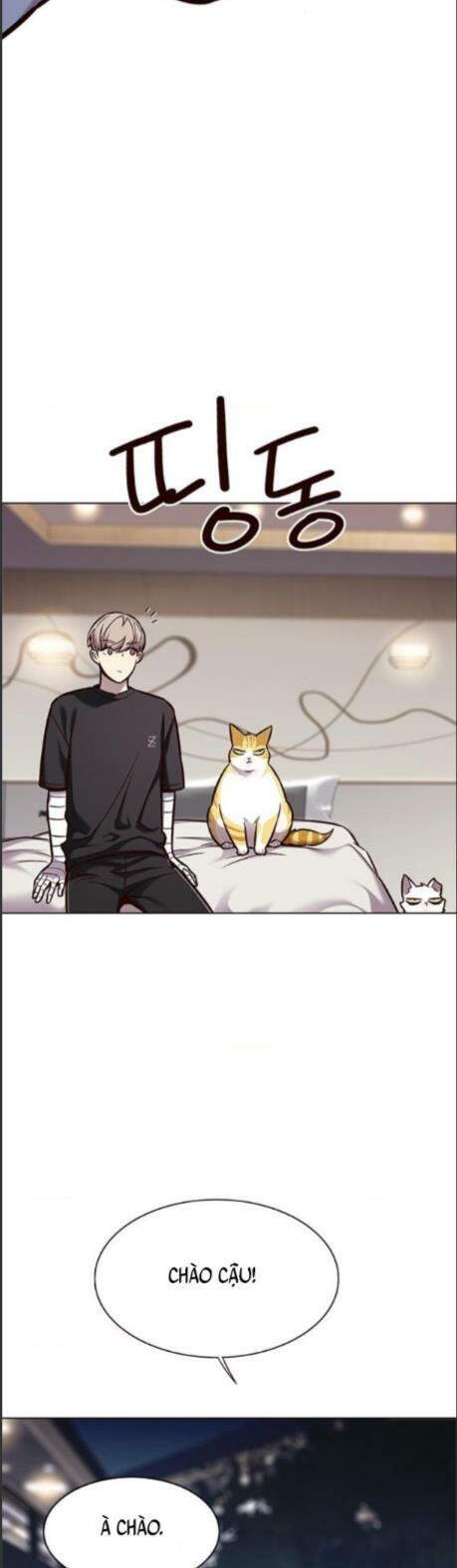 Hoá Thân Thành Mèo - Chapter 164 - Page 14