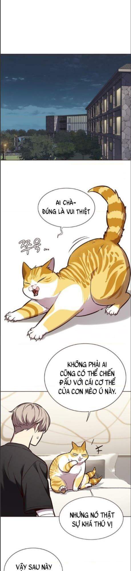 Hoá Thân Thành Mèo - Chapter 164 - Page 8