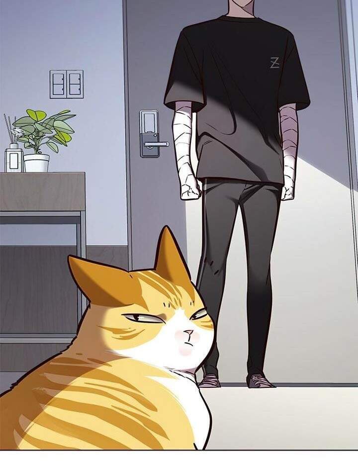 Hoá Thân Thành Mèo - Chapter 165 - Page 50