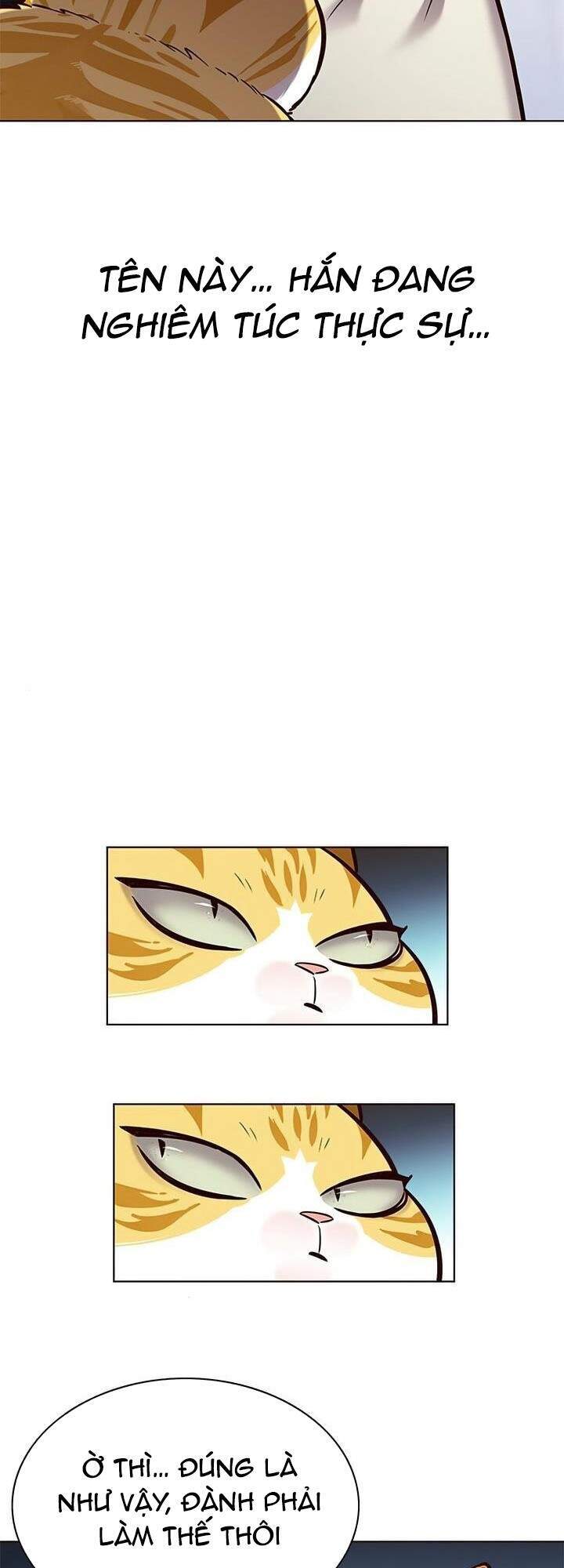 Hoá Thân Thành Mèo - Chapter 165 - Page 79