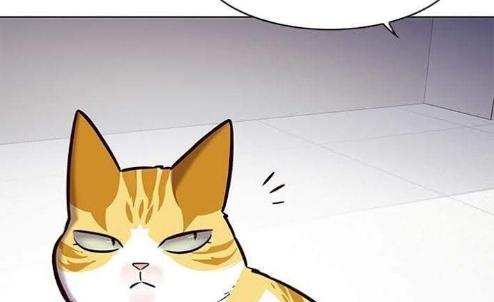 Hoá Thân Thành Mèo - Chapter 166 - Page 12