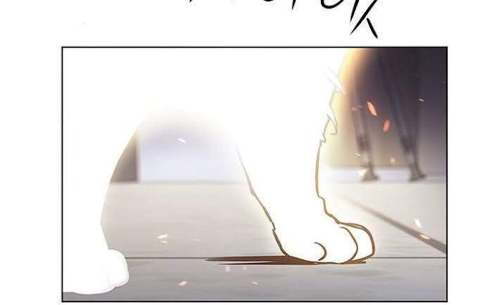 Hoá Thân Thành Mèo - Chapter 166 - Page 6