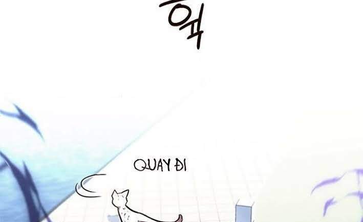 Hoá Thân Thành Mèo - Chapter 166 - Page 66