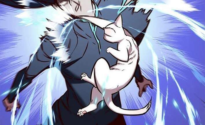 Hoá Thân Thành Mèo - Chapter 166 - Page 75