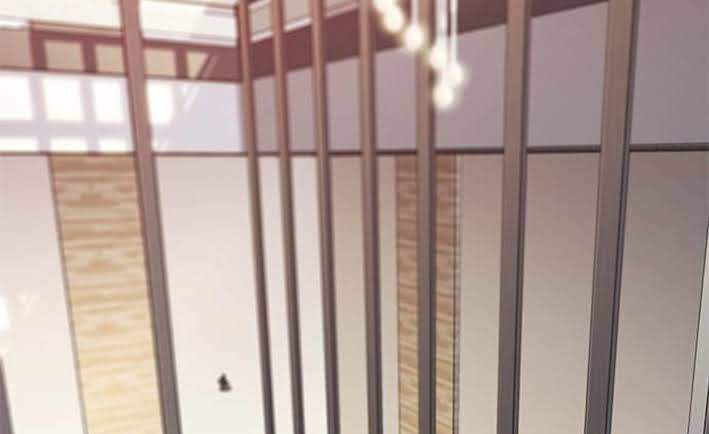 Hoá Thân Thành Mèo - Chapter 167 - Page 29