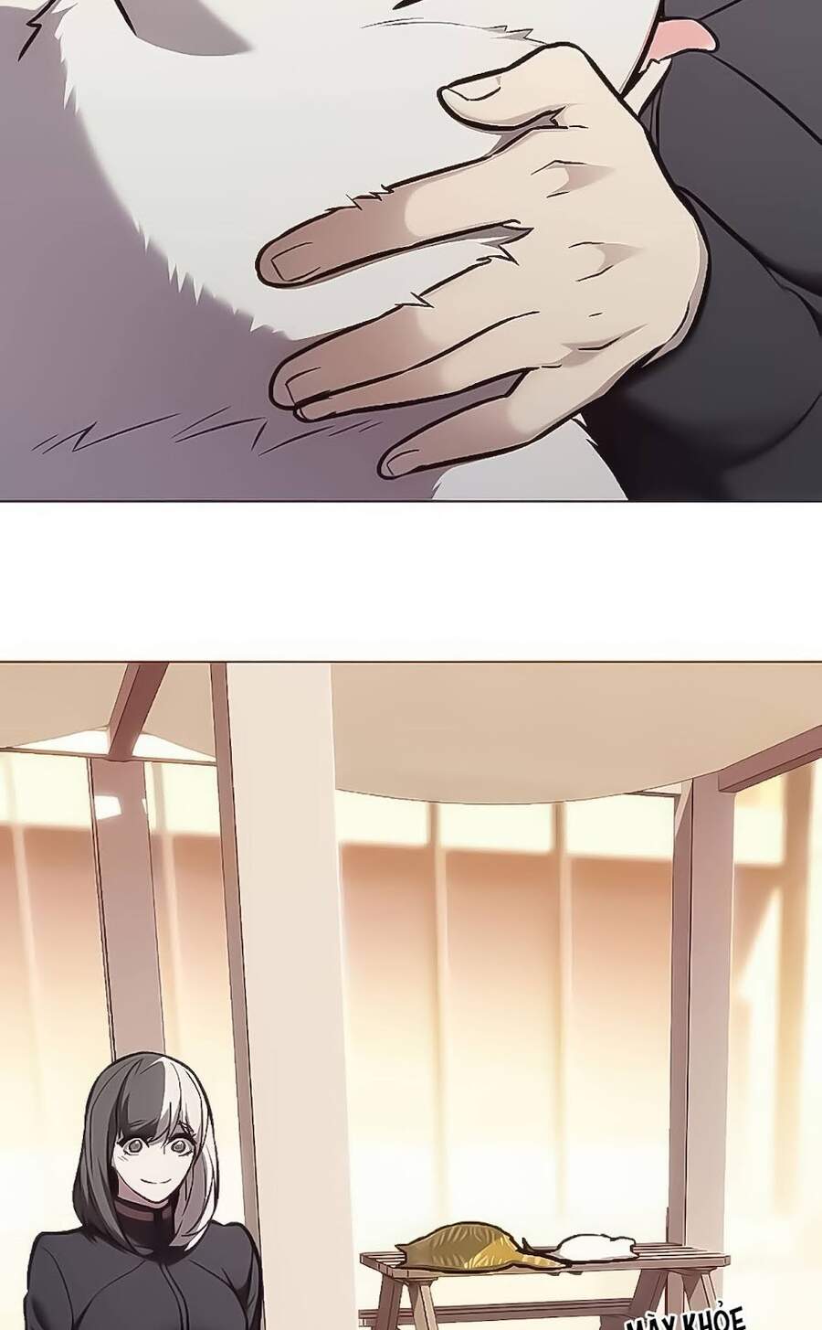 Hoá Thân Thành Mèo - Chapter 168 - Page 27