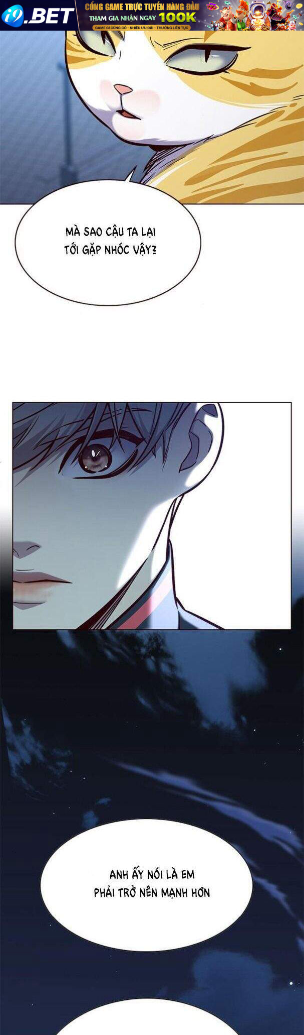 Hoá Thân Thành Mèo - Chapter 169 - Page 34