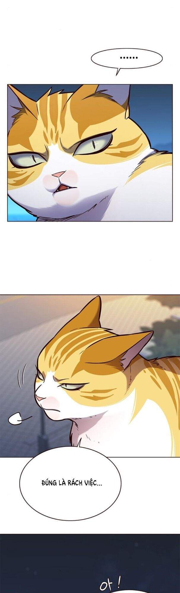 Hoá Thân Thành Mèo - Chapter 169 - Page 36