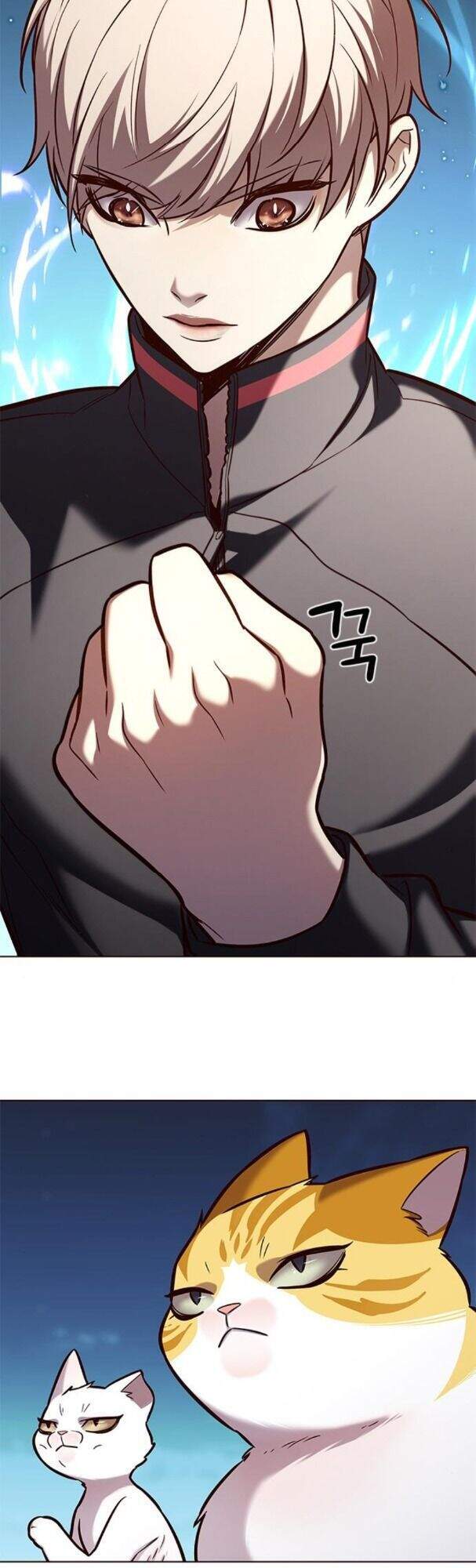 Hoá Thân Thành Mèo - Chapter 169 - Page 49