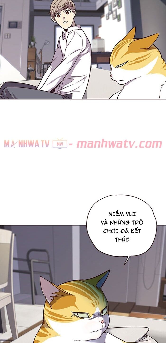 Hoá Thân Thành Mèo - Chapter 17 - Page 26