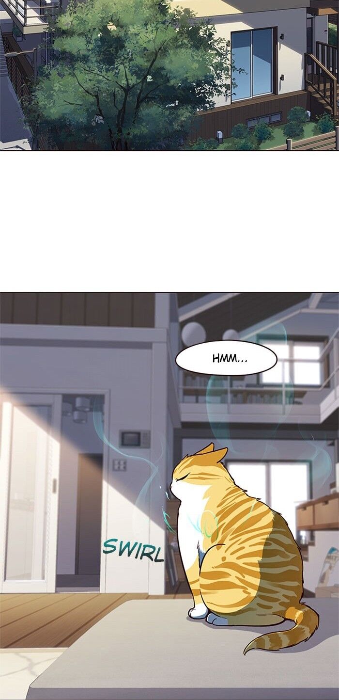 Hoá Thân Thành Mèo - Chapter 17 - Page 36