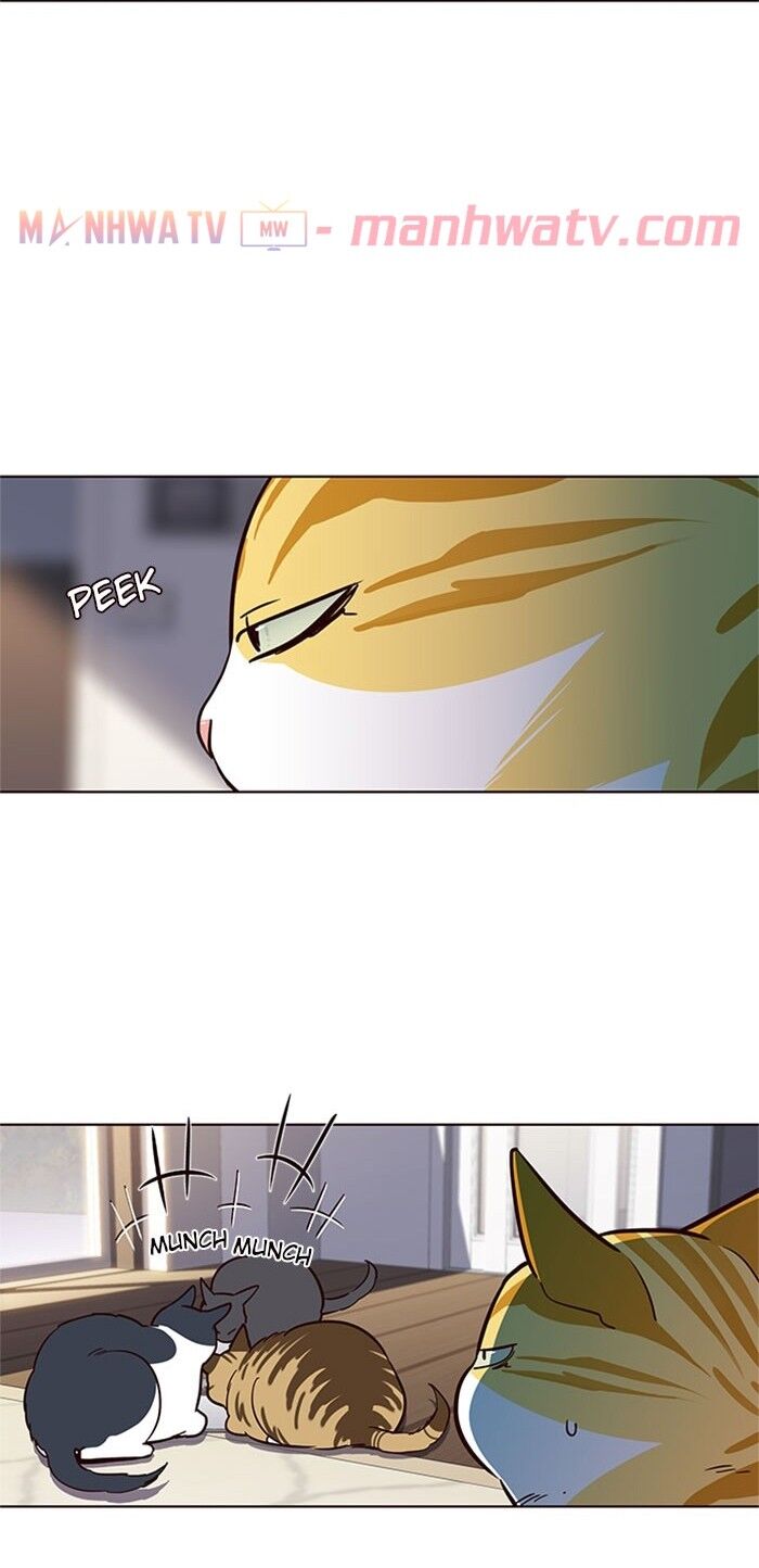 Hoá Thân Thành Mèo - Chapter 17 - Page 37