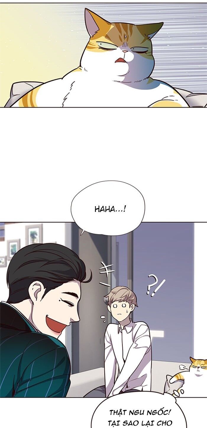 Hoá Thân Thành Mèo - Chapter 17 - Page 7