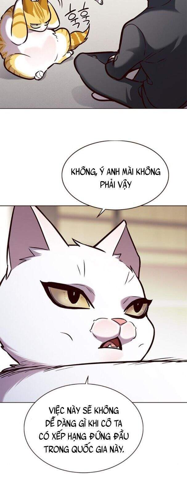 Hoá Thân Thành Mèo - Chapter 170 - Page 49