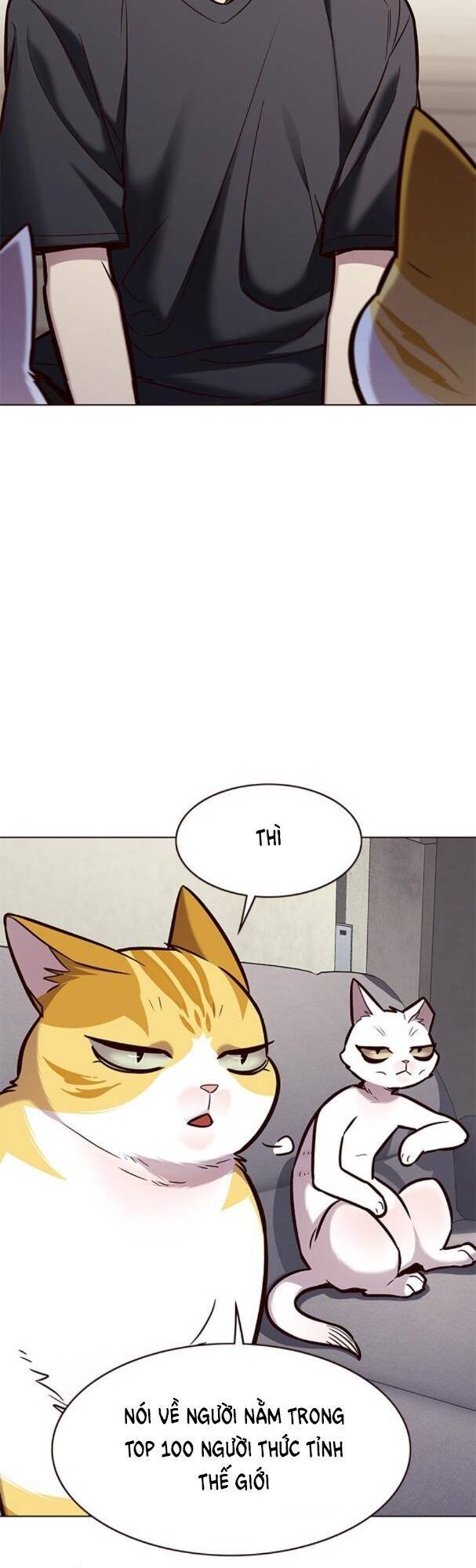 Hoá Thân Thành Mèo - Chapter 173 - Page 12