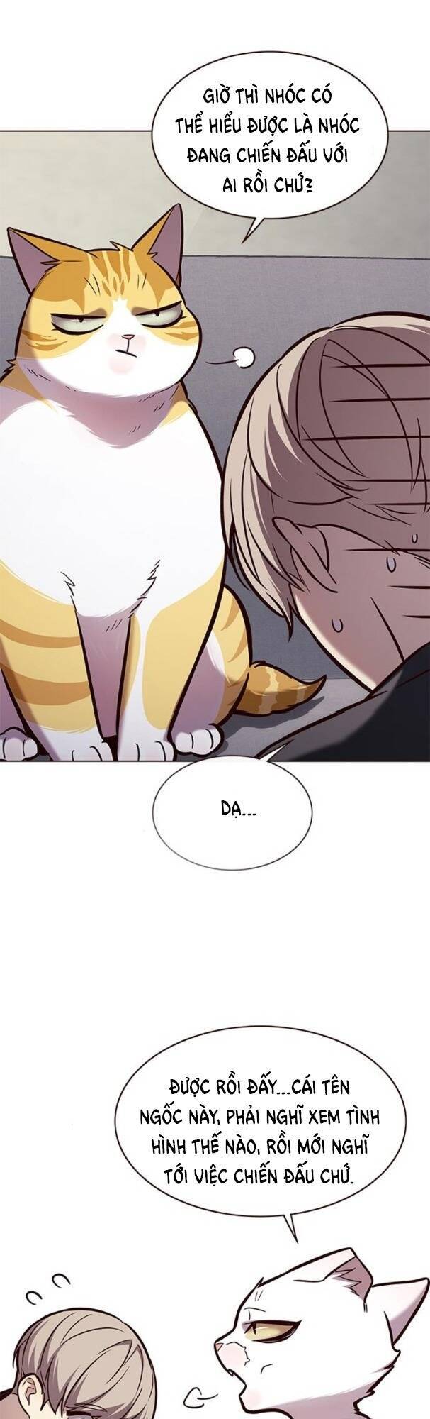 Hoá Thân Thành Mèo - Chapter 173 - Page 15