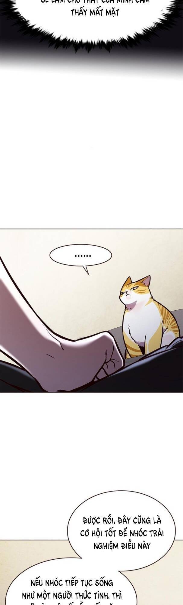 Hoá Thân Thành Mèo - Chapter 173 - Page 18