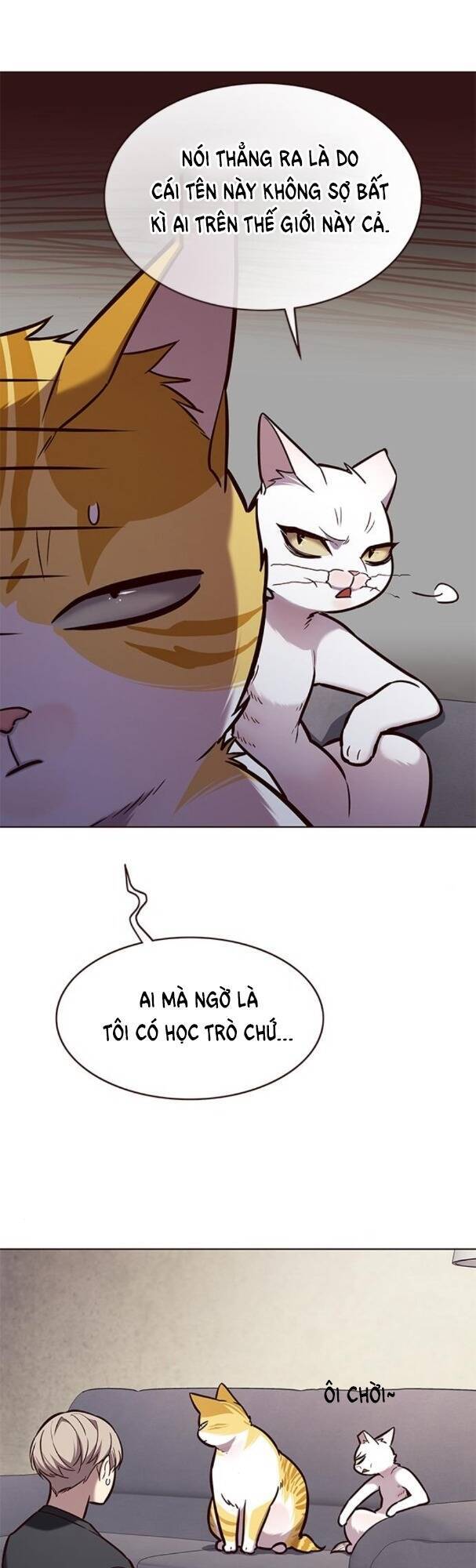 Hoá Thân Thành Mèo - Chapter 173 - Page 21