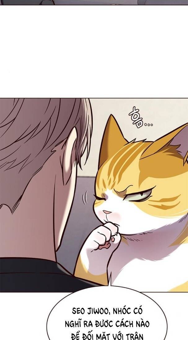 Hoá Thân Thành Mèo - Chapter 173 - Page 22