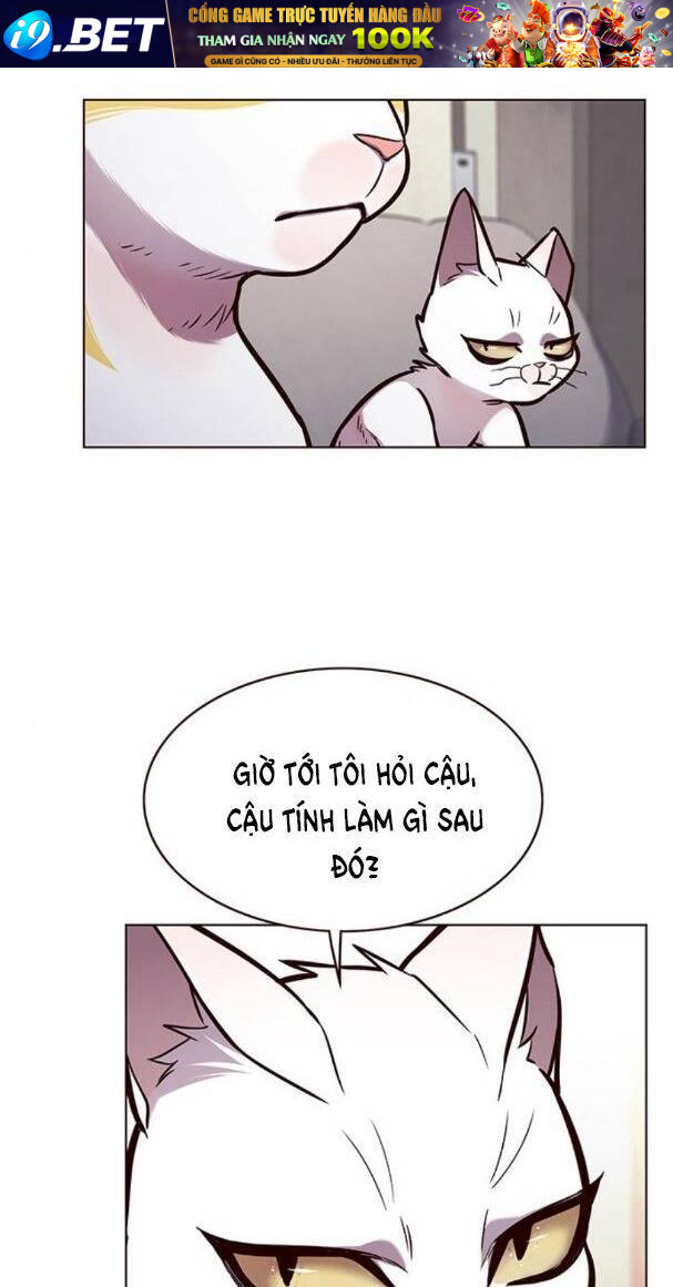 Hoá Thân Thành Mèo - Chapter 173 - Page 28